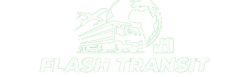 AnyConv.com__logo-flash_transit
